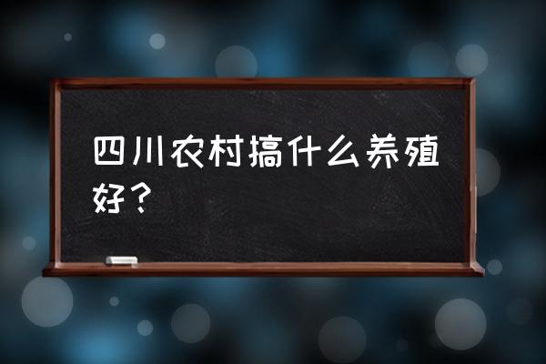 四川资阳适合养殖什么 四川农村搞什么养殖好? 四川资阳适合养殖什么 四川农村搞什么养殖好?