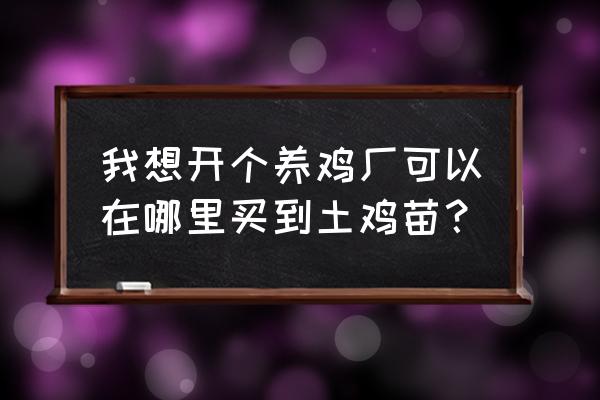 喀什哪里有土鸡苗批发市场 我想开个养鸡厂可以在哪里买到土鸡苗？