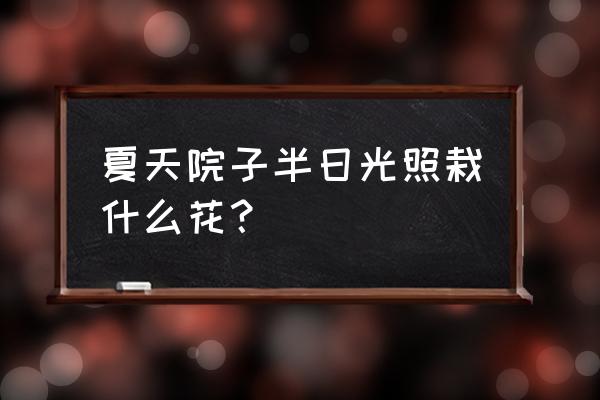 半日照的植物有哪些 夏天院子半日光照栽什么花？
