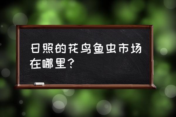日照哪里卖养殖鱼 日照的花鸟鱼虫市场在哪里？