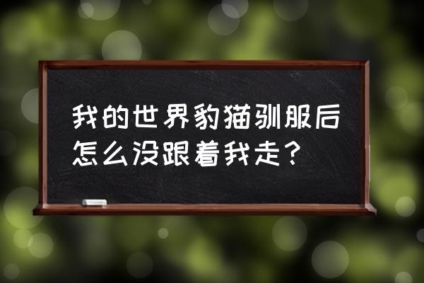 我的世界猫驯服后怎么放生 我的世界豹猫驯服后怎么没跟着我走? 我的世界猫驯服后怎么放生 我的世界豹猫驯服后怎么没跟着我走?