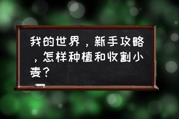 手机版的我的世界怎么种小麦 我的世界，新手攻略，怎样种植和收割小麦？