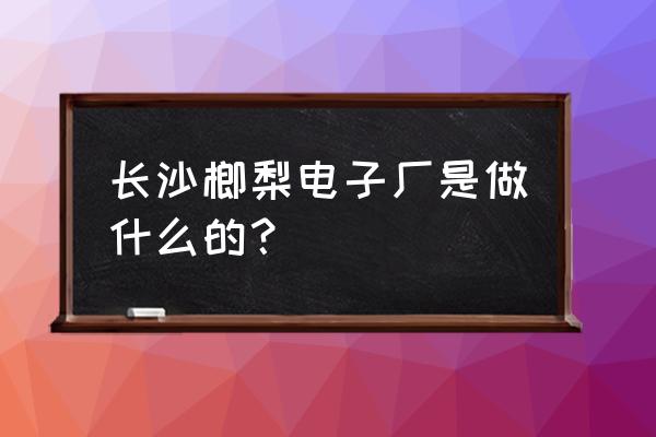 国内平板电脑加工厂有哪些 长沙榔梨电子厂是做什么的？