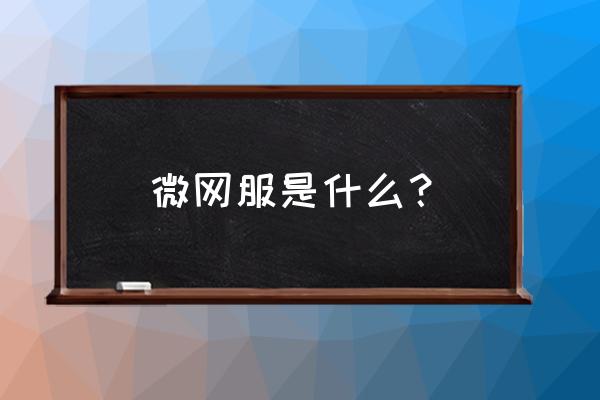 微网游戏是什么意思是什么成语 微网服是什么？