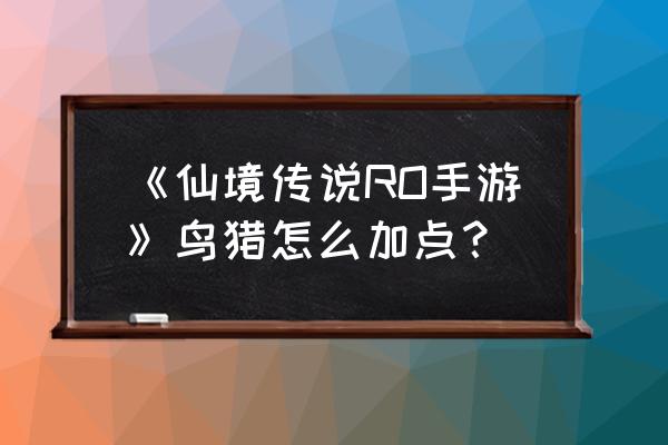 仙境传说猎人猎鹰出击几率 《仙境传说RO手游》鸟猎怎么加点? 仙境传说猎人猎鹰出击几率 《仙境传说RO手游》鸟猎怎么加点?