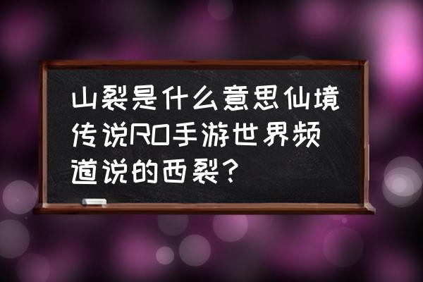 仙境传说ro手游裂隙怎么打 山裂是什么意思仙境传说RO手游世界频道说的西裂？