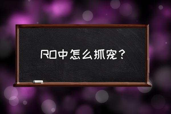 仙境传说如何提高宠物捕捉几率 RO中怎么抓宠？