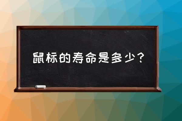 纳普斯鼠标怎么样 鼠标的寿命是多少? 纳普斯鼠标怎么样 鼠标的寿命是多少?
