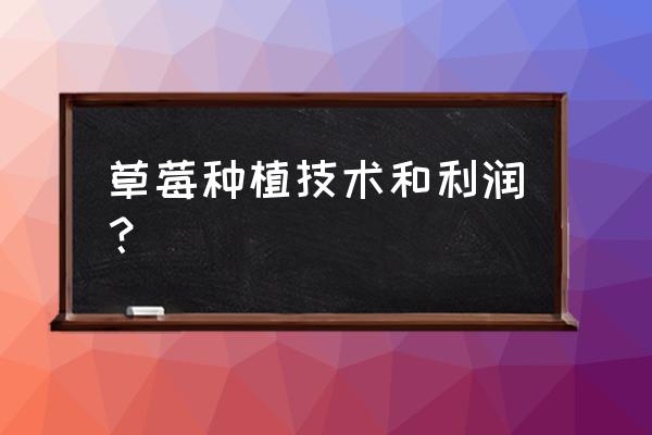 草莓苗批发价格是有多少 草莓种植技术和利润？