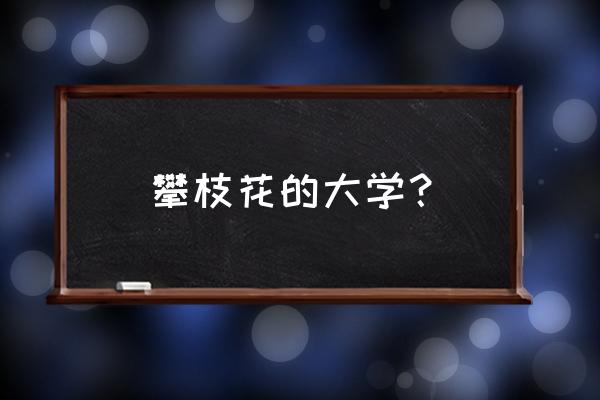 攀枝花哪里学会计 攀枝花的大学？