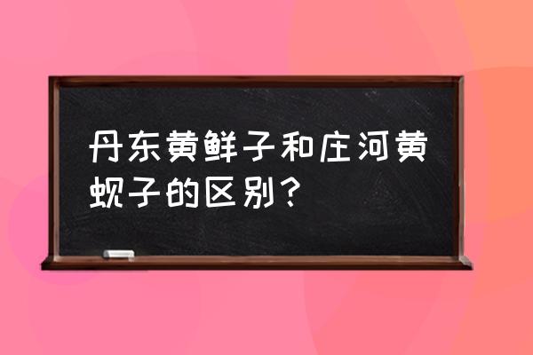 通辽冷氏海鲜和丹东黄蚬子哪个好 丹东黄鲜子和庄河黄蚬子的区别？