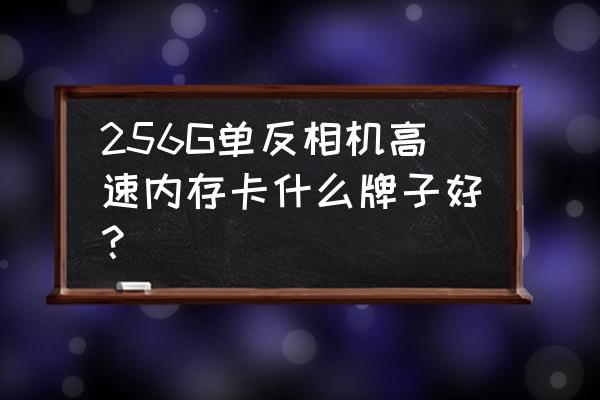 单反相机用哪个牌子的内存卡 256G单反相机高速内存卡什么牌子好？