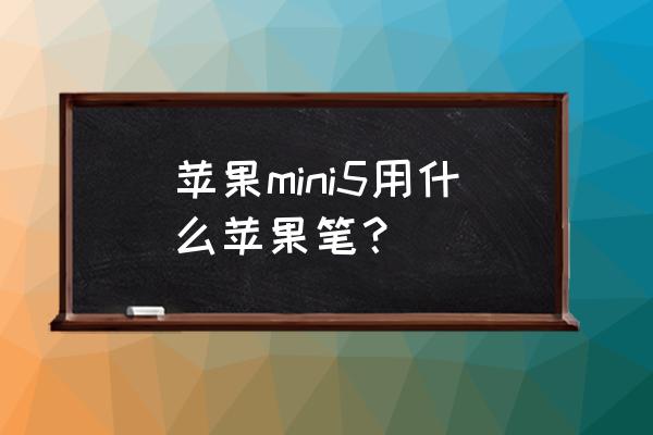 ipadmini5手写笔哪款好 苹果mini5用什么苹果笔？