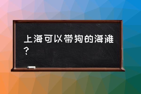 带狗去海边旅游注意什么 上海可以带狗的海滩? 带狗去海边旅游注意什么 上海可以带狗的海滩?