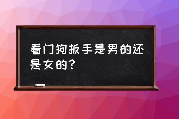 看门狗2能不能找女的 看门狗扳手是男的还是女的？