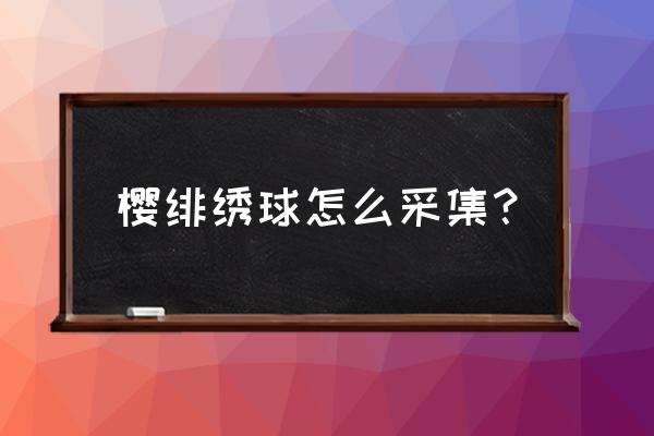 原神蒲公英籽怎么采集 樱绯绣球怎么采集？