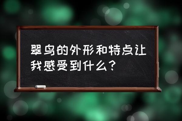 翠鸟课文中翠鸟身上的颜色有哪些 翠鸟的外形和特点让我感受到什么? 翠鸟课文中翠鸟身上的颜色有哪些 翠鸟的外形和特点让我感受到什么?