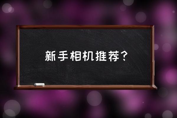 初学者什么单反最好 新手相机推荐? 初学者什么单反最好 新手相机推荐?