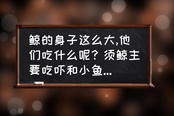 小虾第三段的仿写怎么写 鲸的身子这么大,他们吃什么呢？须鲸主要吃吓和小鱼（仿写句子）？