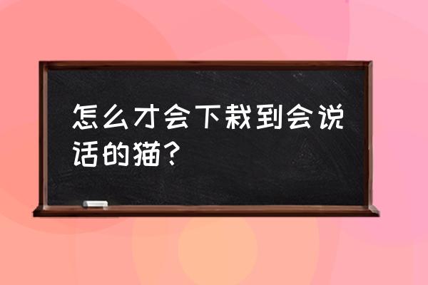 我的汤姆猫家族内置菜单 怎么才会下栽到会说话的猫？
