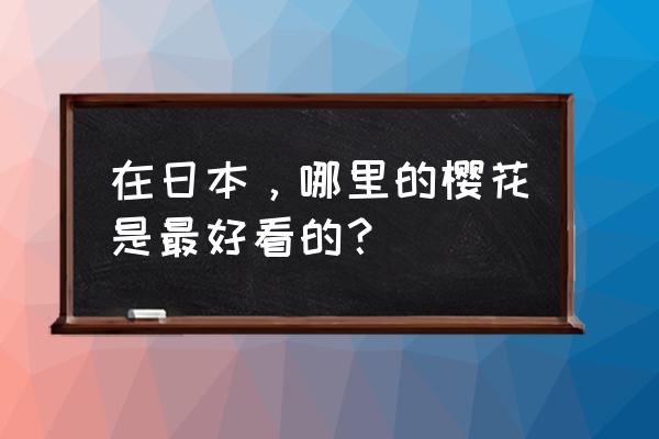 日本赏樱最佳路线 在日本，哪里的樱花是最好看的？