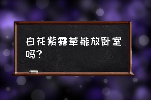 白花紫露草怎么吃效果最好 白花紫露草能放卧室吗? 白花紫露草怎么吃效果最好 白花紫露草能放卧室吗?
