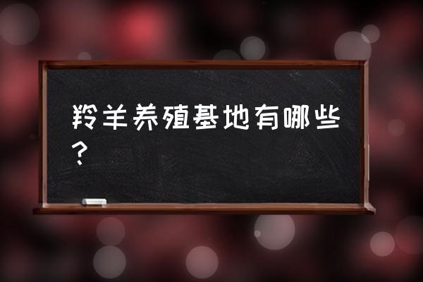 藏羚羊的栖息地点在哪里 羚羊养殖基地有哪些? 藏羚羊的栖息地点在哪里 羚羊养殖基地有哪些?