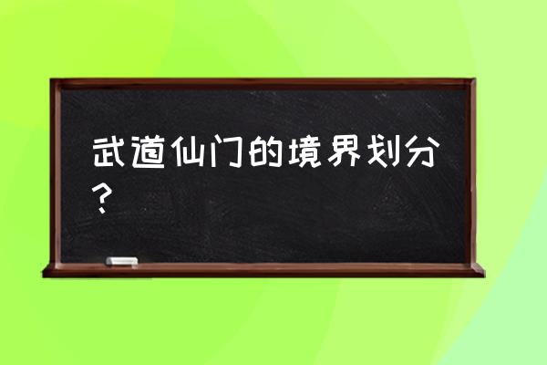 一念逍遥化神渡劫攻略 武道仙门的境界划分？