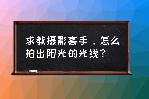 阳光拍摄教程 求教摄影高手,怎么拍出阳光的光线? 阳光拍摄教程 求教摄影高手,怎么拍出阳光的光线?