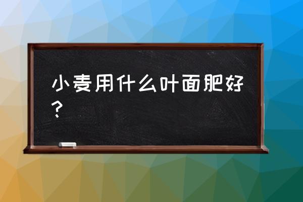 摩尔庄园里怎么采集花粉 小麦用什么叶面肥好? 摩尔庄园里怎么采集花粉 小麦用什么叶面肥好?