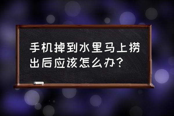 手机掉水里了正确处理方法 手机掉到水里马上捞出后应该怎么办? 手机掉水里了正确处理方法 手机掉到水里马上捞出后应该怎么办?